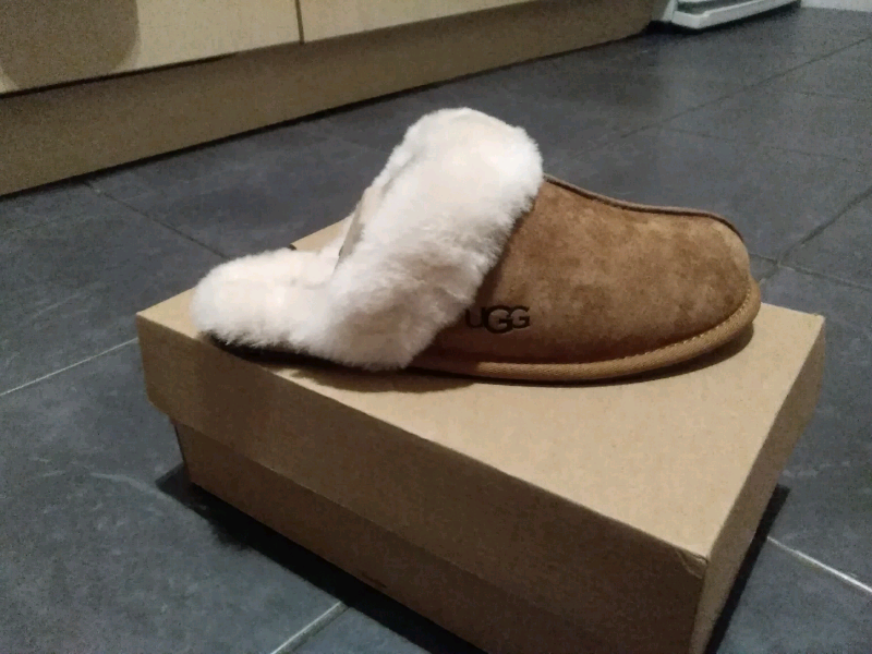 ladies ugg slippers size 5